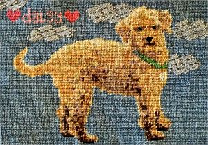 Photograph of product.